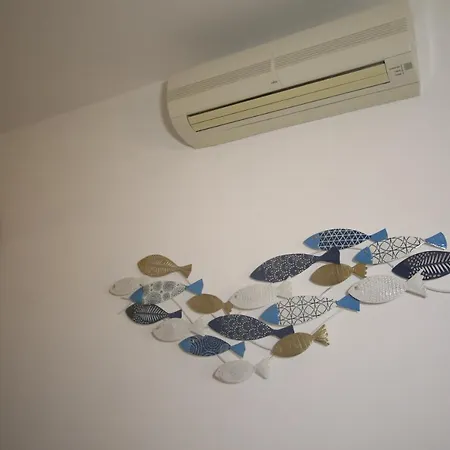 La Conchiglia Palau